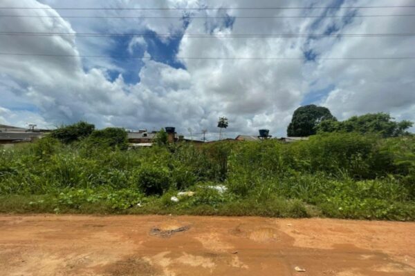 Vereador Fernando Silva solicita limpeza urgente nas imediações das torres da Rua Ibrahim Sued, no Bairro Pantanal