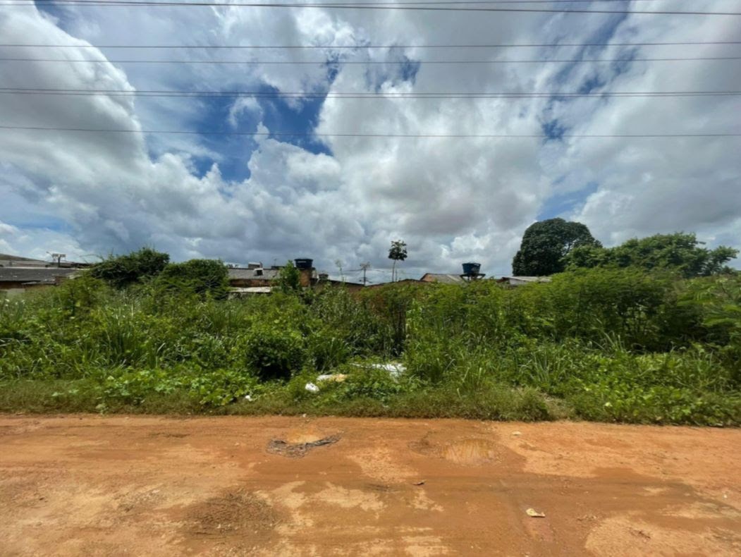 Vereador Fernando Silva solicita limpeza urgente nas imediações das torres da Rua Ibrahim Sued, no Bairro Pantanal