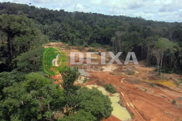 STF faz reunião em Porto Velho sobre consulta aos Cinta Larga sobre mineração na Terra Indígena Roosevelt