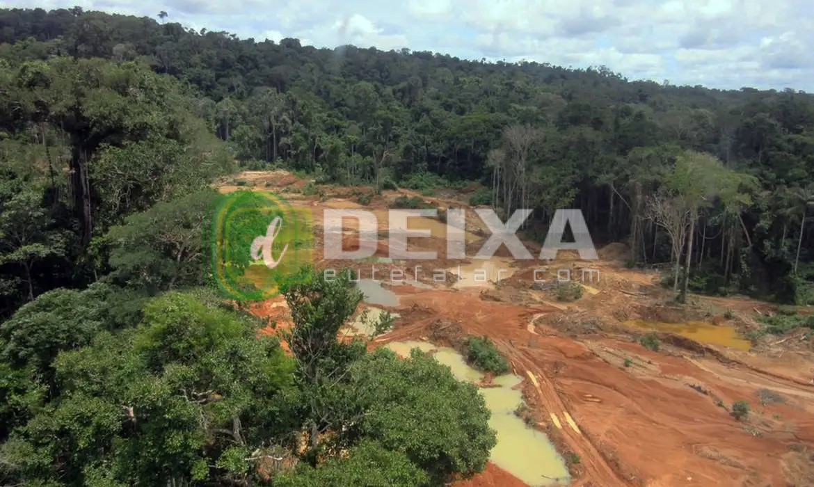 STF faz reunião em Porto Velho sobre consulta aos Cinta Larga sobre mineração na Terra Indígena Roosevelt