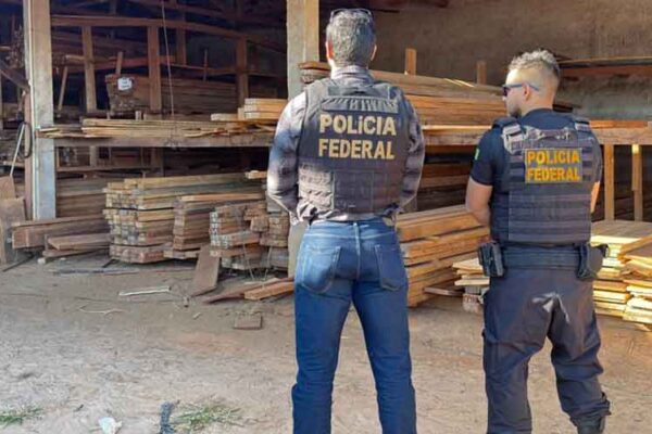 PF deflagra Operação Benevolentia para combater extração ilegal de madeira em Terras Indígenas de Rondônia