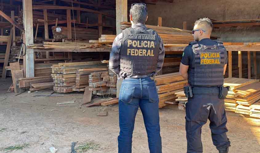 PF deflagra Operação Benevolentia para combater extração ilegal de madeira em Terras Indígenas de Rondônia