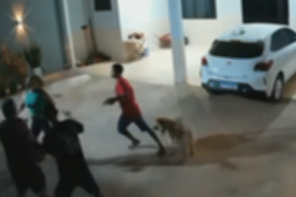 Casal é feito refém em assalto no bairro Embratel, em Porto Velho