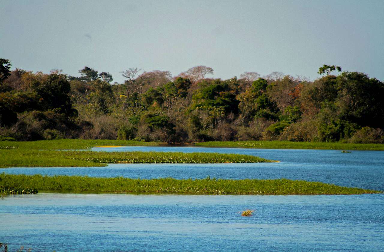Rondônia impulsiona sua produção agropecuária enquanto se destaca na redução do desmatamento no Brasil