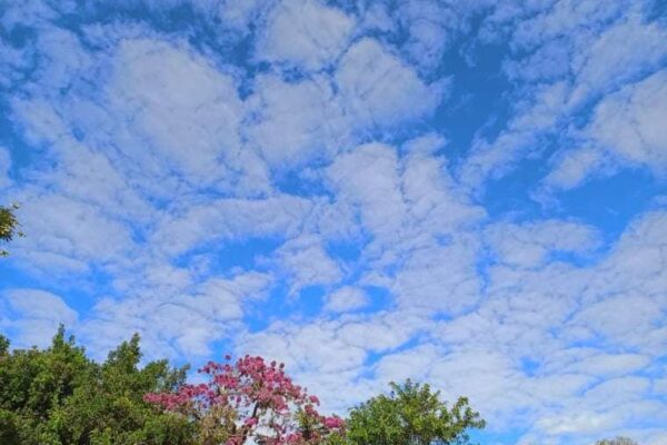 Região Sudeste terá tardes mais quentes, mas noites e inícios de manhã seguem frios