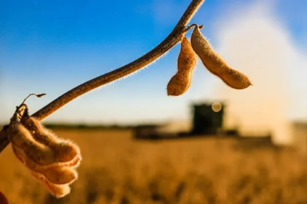 Centro-Oeste acelera com o agro e deve liderar crescimento no Brasil