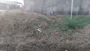 Vereador Gedeão Negreiros solicita roçagem urgente em cruzamento crítico no Bairro Novo Horizonte