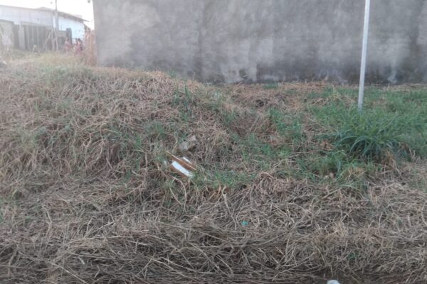 Vereador Gedeão Negreiros solicita roçagem urgente em cruzamento crítico no Bairro Novo Horizonte