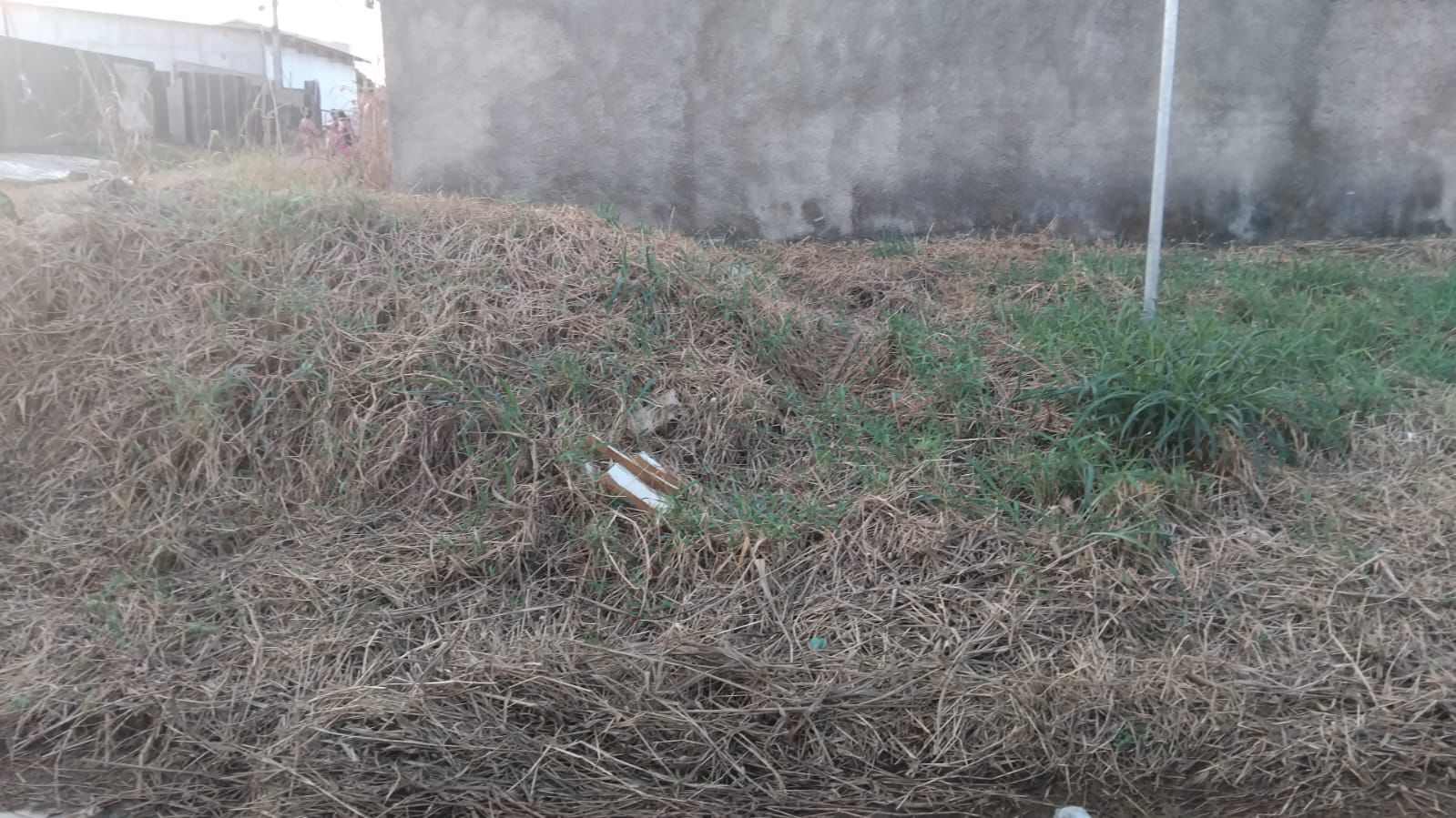 Vereador Gedeão Negreiros solicita roçagem urgente em cruzamento crítico no Bairro Novo Horizonte
