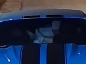 VÍDEO: Motel Mustang em Porto Velho faz sucesso, quem será o autor da proeza?