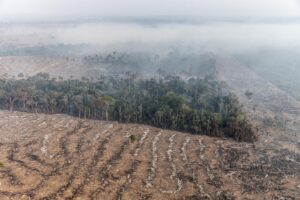 Soja invade áreas protegidas e comunidades silenciam em Rondônia