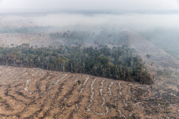 Soja invade áreas protegidas e comunidades silenciam em Rondônia