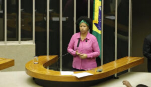 www.deixaeutefalar.com.br Deputada Sílvia Cristina critica queima de casas e currais e retirada de produtores de suas terras documentadas
