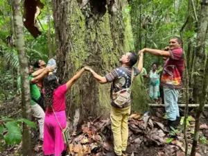 Quilombolas de Belém lutam para manter a terra enquanto aterro avança