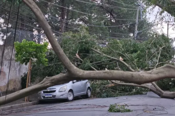 Vendaval atinge São Paulo por mais de 12 horas com rajadas de 98,1 km/h