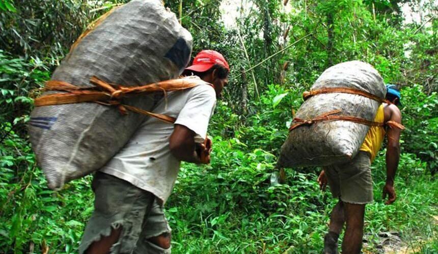 Editorial: o peso de quem só quer trabalhar