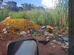 Porto Velho: moradores denunciam abandono e descarte irregular no Ramal da Viúva