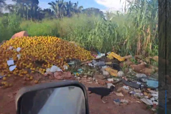 Porto Velho: moradores denunciam abandono e descarte irregular no Ramal da Viúva Porto Velho: moradores denunciam abandono e descarte irregular no Ramal da Viúva