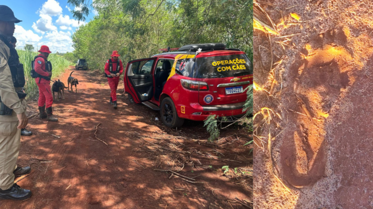 Investigação no PR: Menina sequestrada é achada morta após ataque a grávida