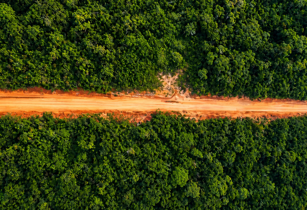 LOBBY: BR-319 no centro de um impasse que atravessa décadas