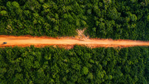 LOBBY: BR-319 no centro de um impasse que atravessa décadas