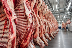 Bloco europeu suspende autorização para carne brasileira a partir de setembro
