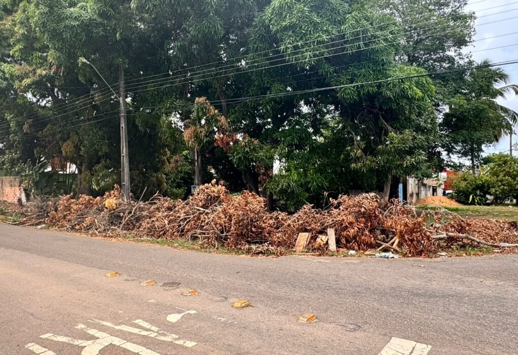 DESCASO: galhos e folhas ocupam esquina da Elias Gorayeb há vários dias DESCASO: galhos e folhas ocupam esquina da Elias Gorayeb há vários dias