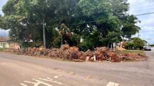 www.deixaeutefalar.com.br DESCASO: galhos e folhas ocupam esquina da Elias Gorayeb há vários dias