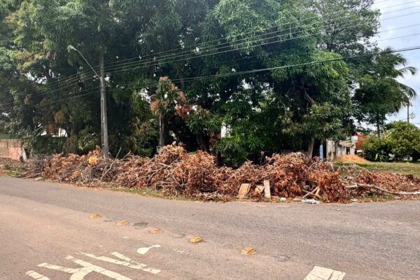 DESCASO: galhos e folhas ocupam esquina da Elias Gorayeb há vários dias DESCASO: galhos e folhas ocupam esquina da Elias Gorayeb há vários dias