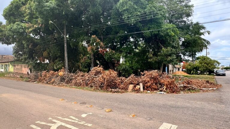 DESCASO: galhos e folhas ocupam esquina da Elias Gorayeb há vários dias DESCASO: galhos e folhas ocupam esquina da Elias Gorayeb há vários dias