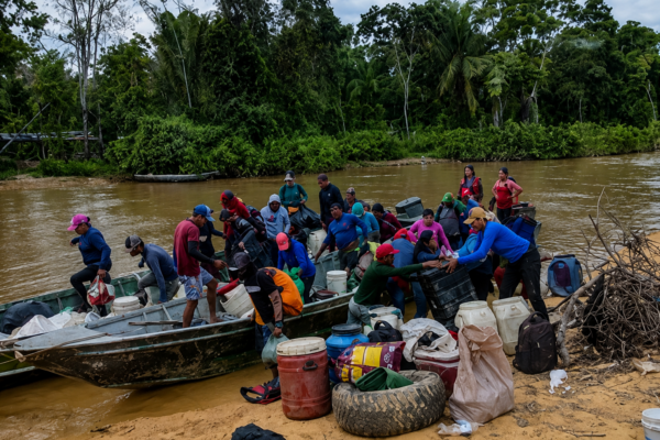 Garimpeiros expulsos da Terra Yanomami migram para o Amapá e avançam sobre a Amazônia preservada Garimpeiros expulsos da Terra Yanomami migram para o Amapá e avançam sobre a Amazônia preservada