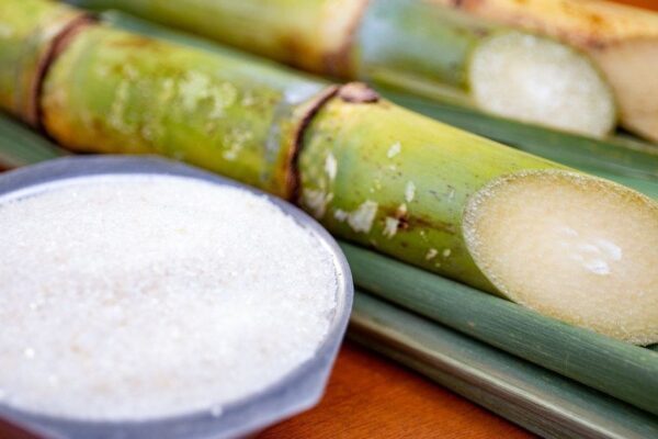 Açúcar sobe em Nova York com colheita lenta no Brasil