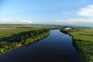 Agricultura cresce 582% na Mata Atlântica de MS em 40 anos