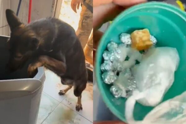 Mulher esconde drogas em máquina de lavar e é presa no Piauí