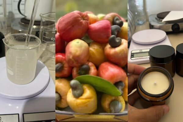 Farmacêutico cria linha de aromas com fragrância de caju no PI