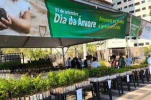 Campo Grande distribui 10 mil mudas frutíferas de graça neste sábado