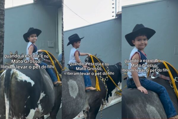 Menino de 3 anos vai a festa escolar montado em boi de 600 kg