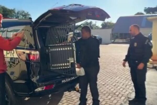 Casal é preso por roubo de cargas em rodovias do Paraná