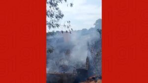www.deixaeutefalar.com.br Incêndio em vegetação mobiliza bombeiros na Zona Centro-Sul de Manaus