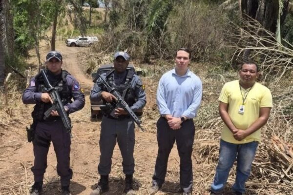 Homem é preso por desmatar babaçu em São Luís Gonzaga do Maranhão