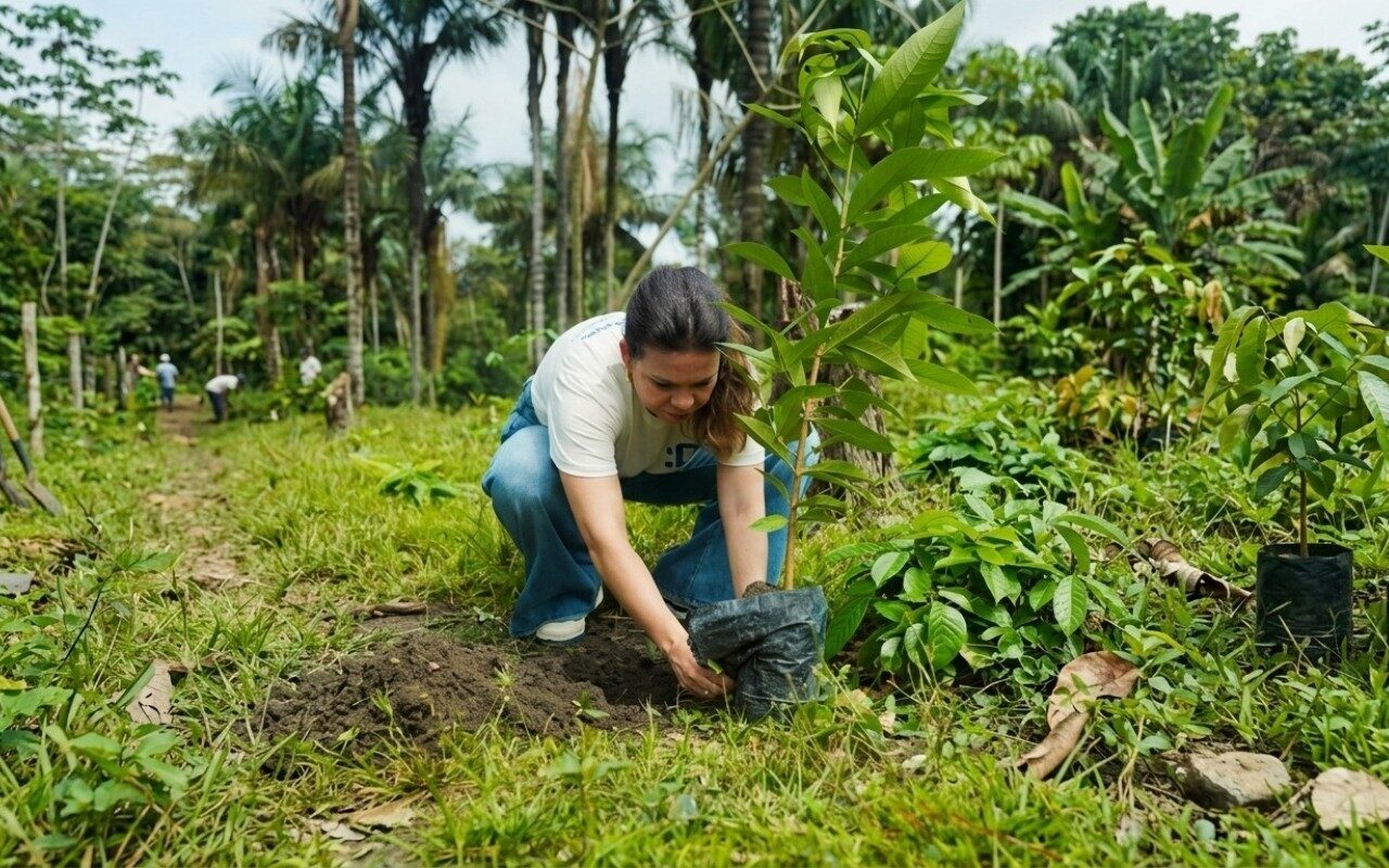 www.deixaeutefalar.com.br FRAM registra 661 árvores plantadas em dois anos na Amazônia